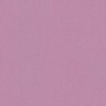 Обои 37702-4 As Creation Floral Impression 0.53x10.05